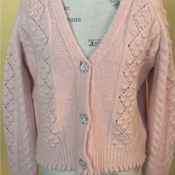 See And Be Seen Pink V-Neck Wool Blend Cable Knit Cardigan Small/Medium NWT - Picture 7 of 15